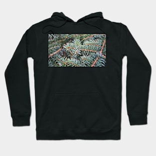 Pine Tree Chtistmas Winter Wallpaper Hoodie